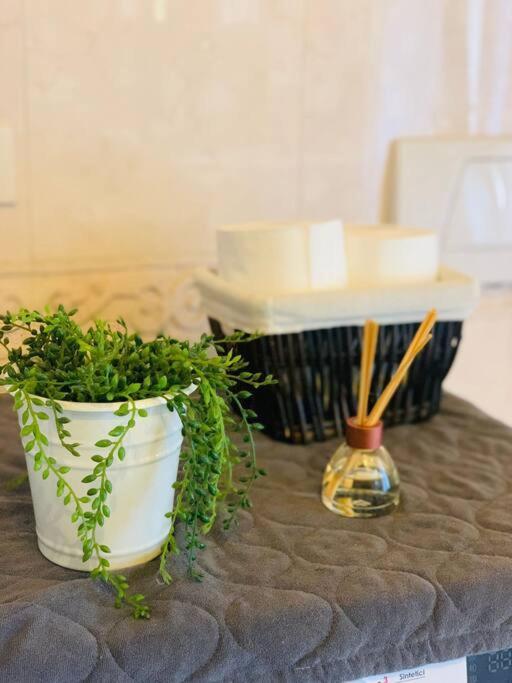 Benvenuti In Casa Peluca! Apartman Mestre Kültér fotó